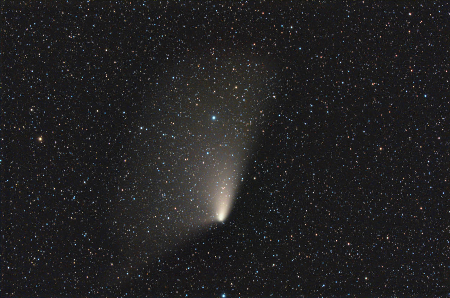 PanStarrs comet photographed in April 15 by Rolando Ligustri from Latisana: 198 KB; click on the image to enlarge at 1488x986 pixels