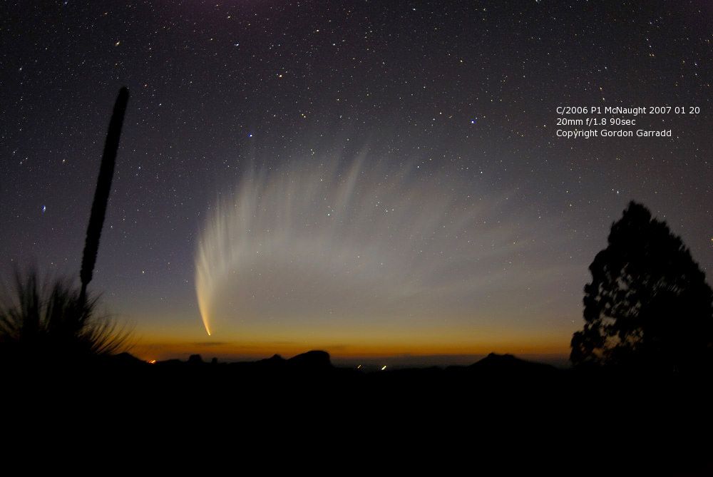 MacNaught comet image photographed from Australia: 60 KB; click on the image to enlarge