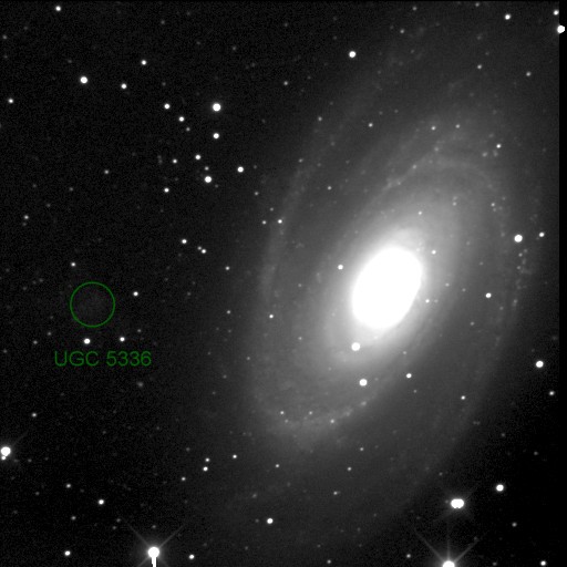 M 81 + UGC 5336: 56 KB; Beltrame-Ligustri