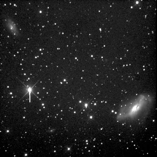NGC 2146: 33 KB