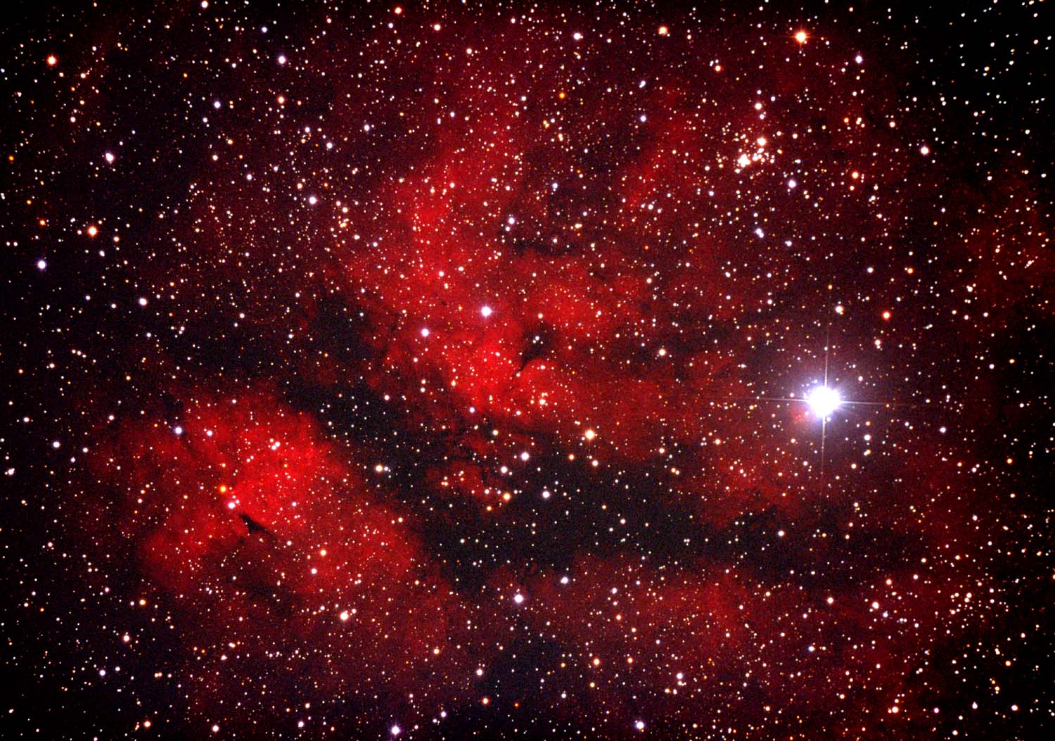 IC 1318 nebula: 245 KB; click the image on enlarge