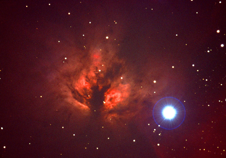 NGC 2024 a colori: 82 KB