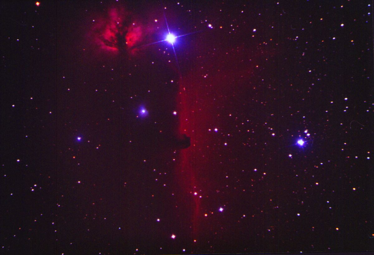 Nebulose Fiamma e Testa di Cavallo: 95 KB; clicca l'immagine per ingrandirla