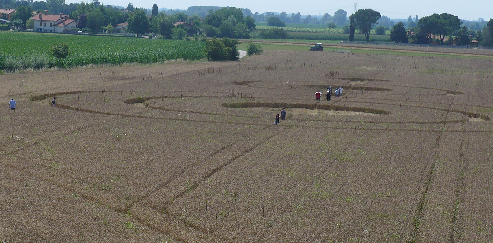 Crop circles in Friuli: 350 KB; click on the image to enlarge