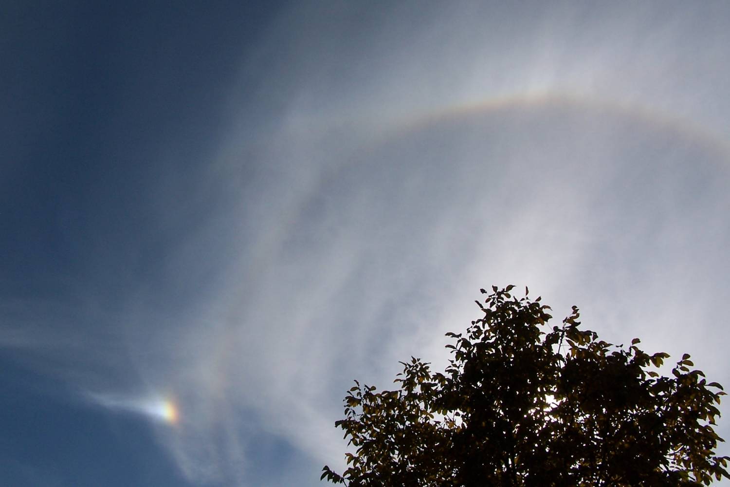 a) Solar circle with upper tangent arc, parhelion circle and left parhelia: 93 KB; click on the image to enlarge