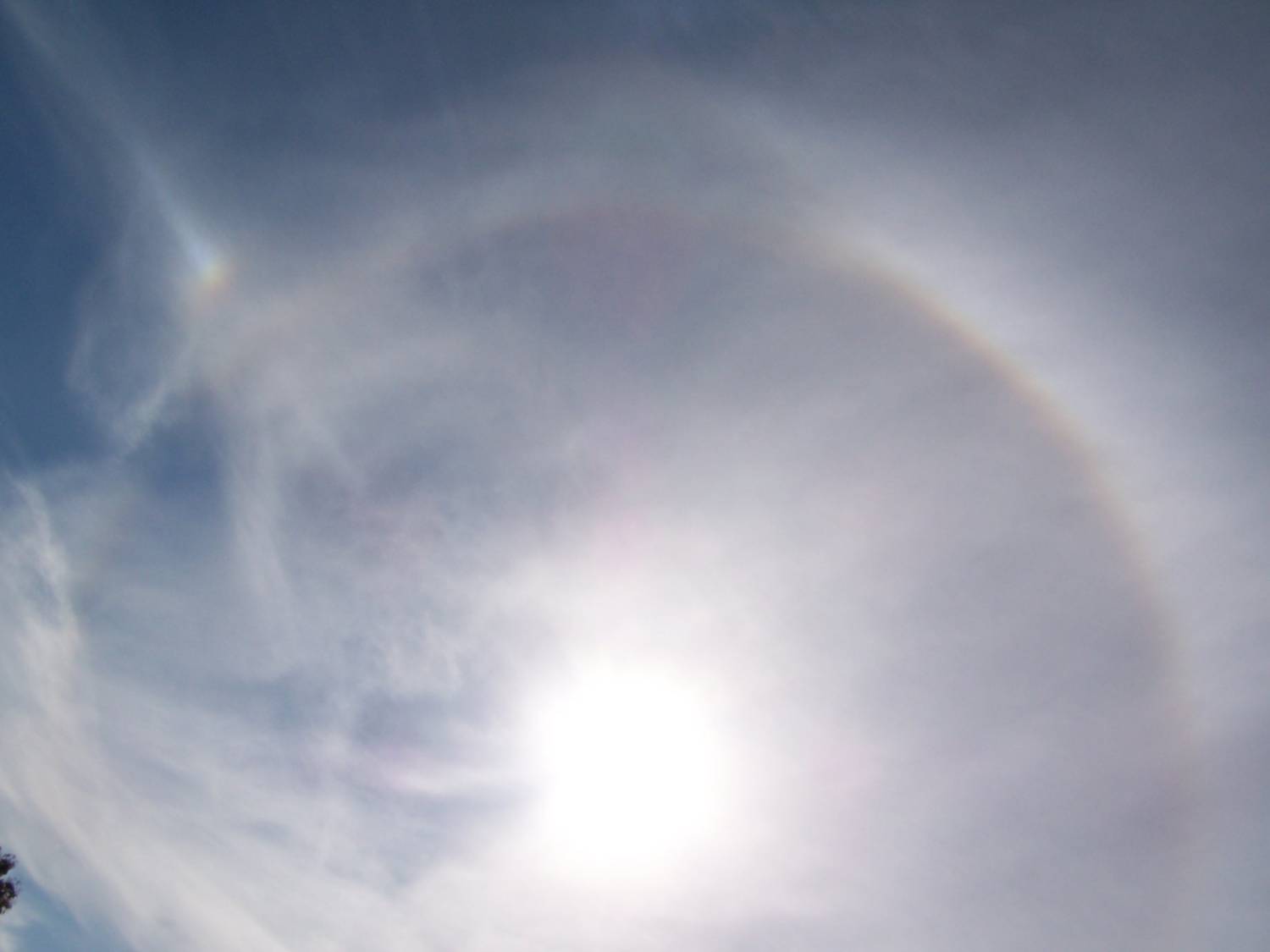 a) Solar circle with upper tangent arc, parhelion circle and left parhelia: 52 KB; click on the image to enlarge
