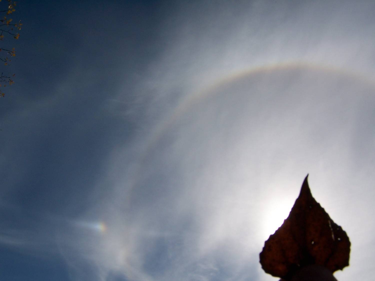 a) Solar circle with parhelion circle and left parhelia: 52 KB; click on the image to enlarge