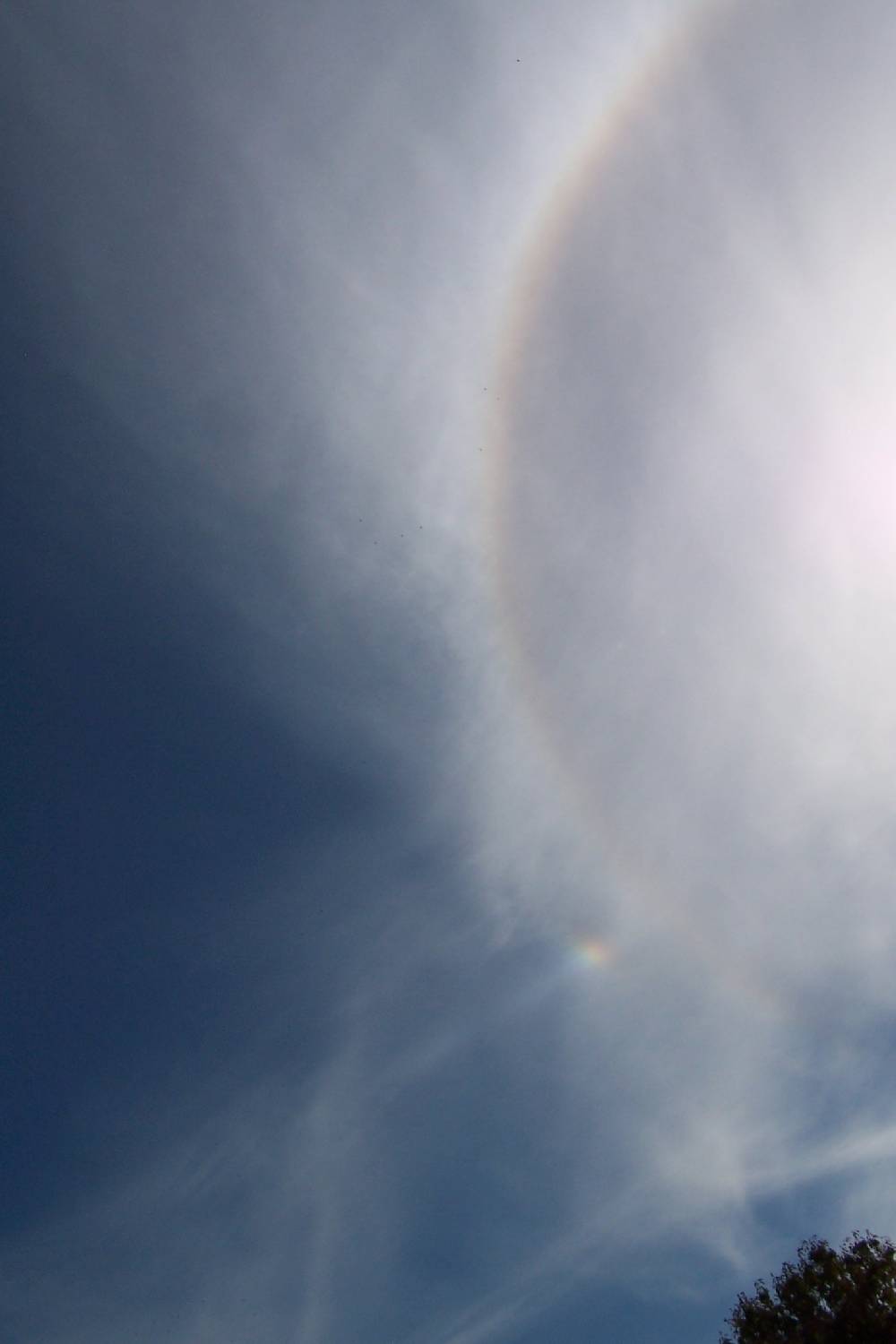 a) Solar circle with parhelic circle and left sundog: 50 KB; click on the image to enlarge
