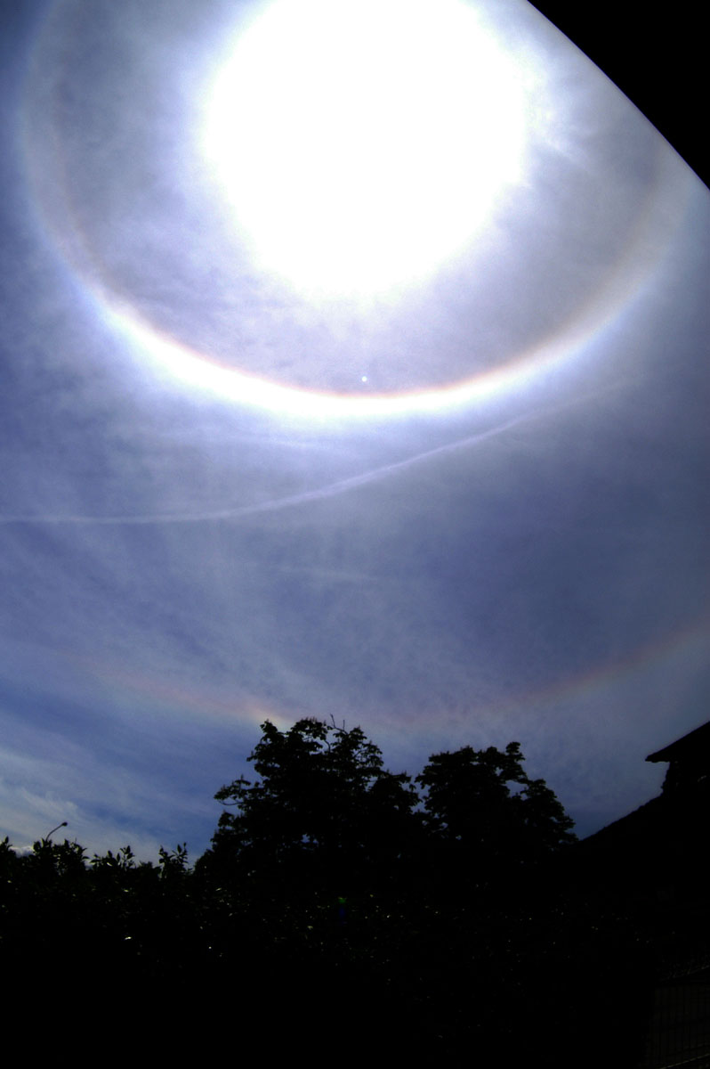 Solar circle with circumscribed halo and infralateral arc: 85 KB; click on the image to enlarge