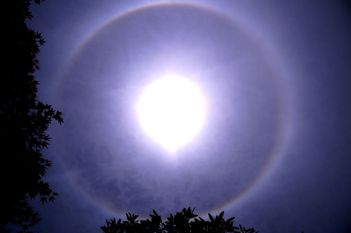 Solar circle with circumscribed halo: 81 KB; click on the image to enlarge