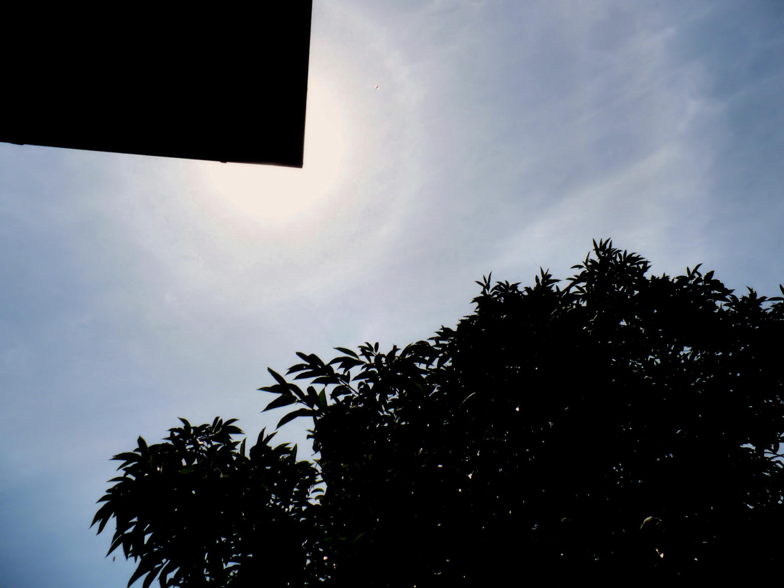 Solar Halos: 138 KB; click on the image to enlarge at 1562x1171 pixels