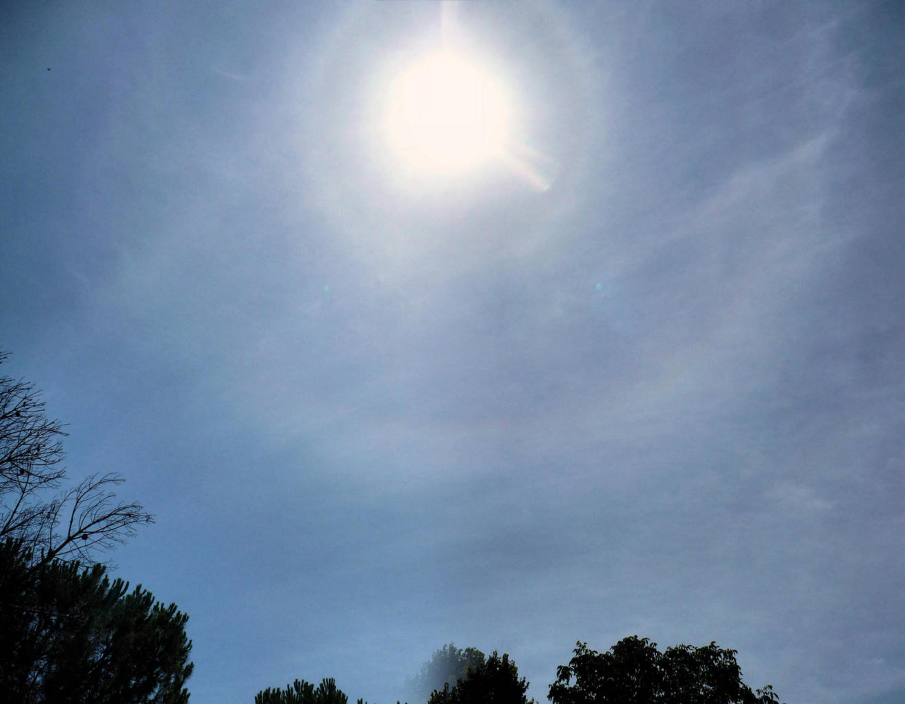 Solar Halos: 110 KB; click on the image to enlarge at 1321x1028 pixels