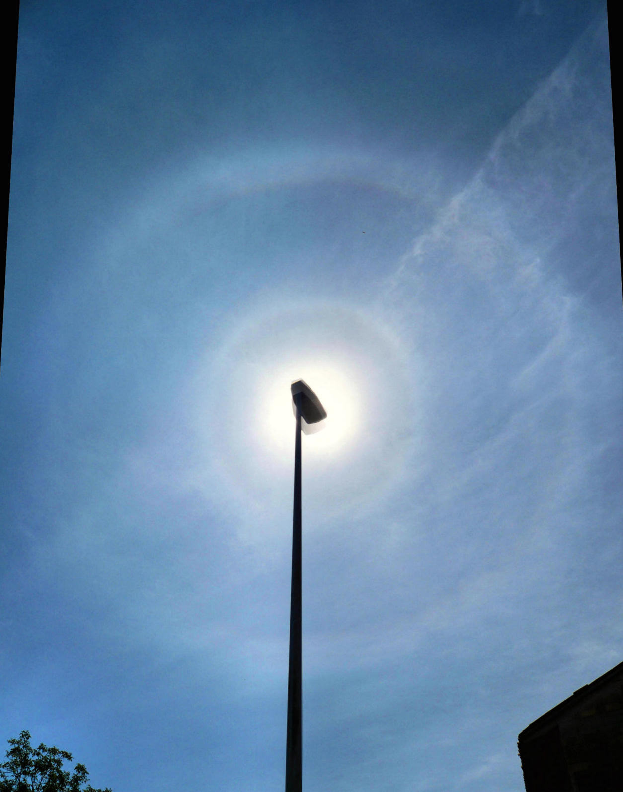 Solar Halos: 154 KB; click on the image to enlarge at 1254x1592 pixels