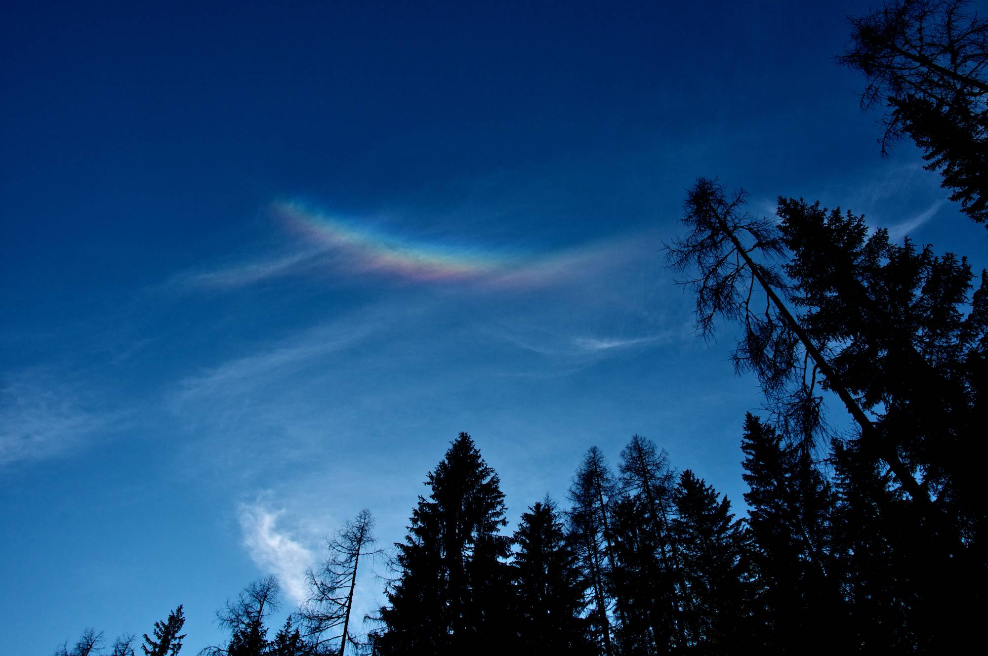 circumzenithal arc: 207 KB; click on the image to enlarge