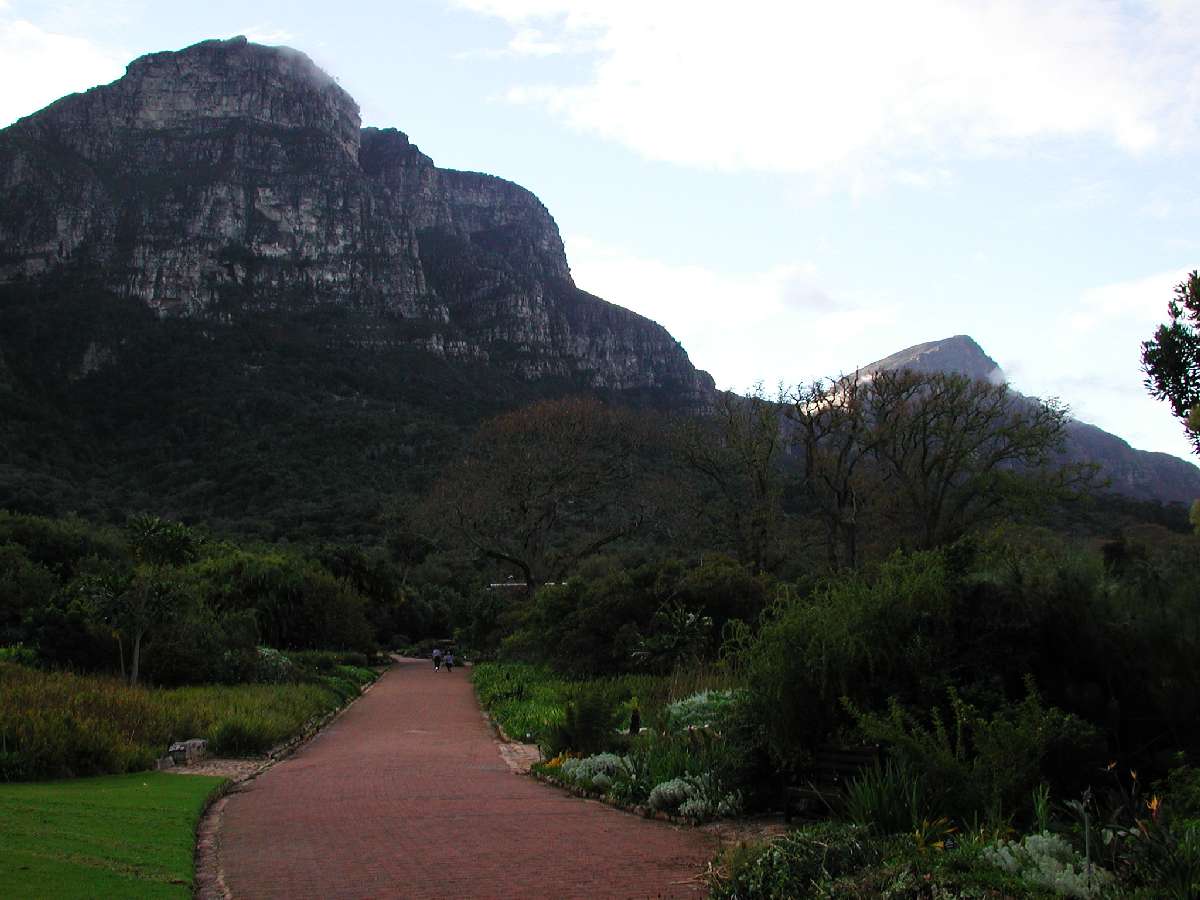 1) L'orto botanico di Città del Capo: 86 KB; clicca l'immagine per ingrandirla