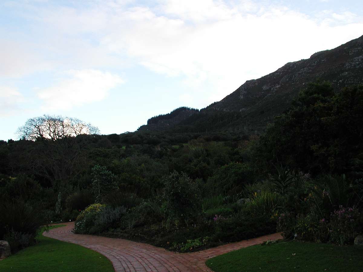 2) L'orto botanico di Città del Capo: 71 KB; clicca l'immagine per ingrandirla