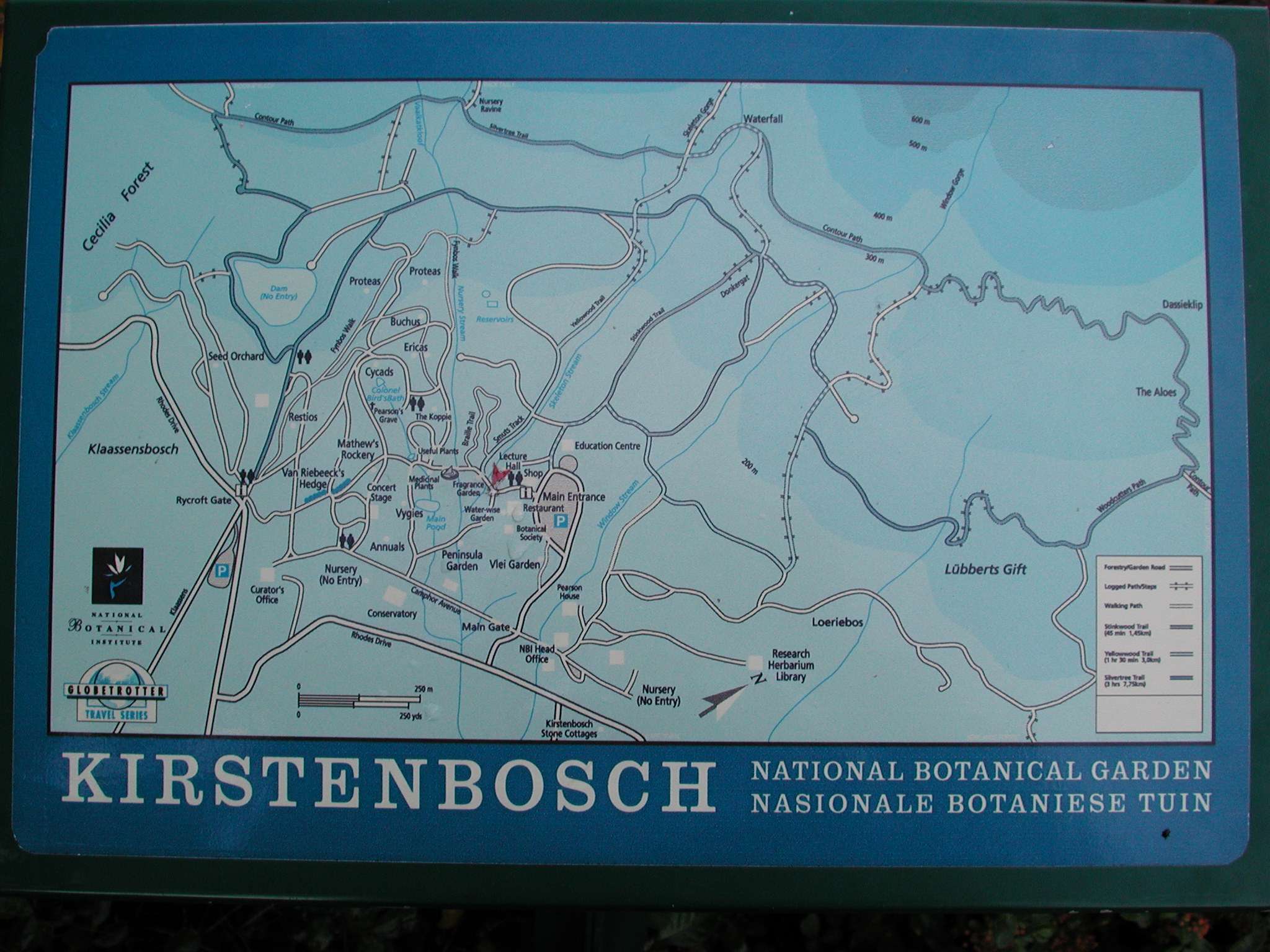 1) Kirstenbosch National Botanic Garden di Città del Capo: 260 KB; clicca l'immagine per ingrandirla