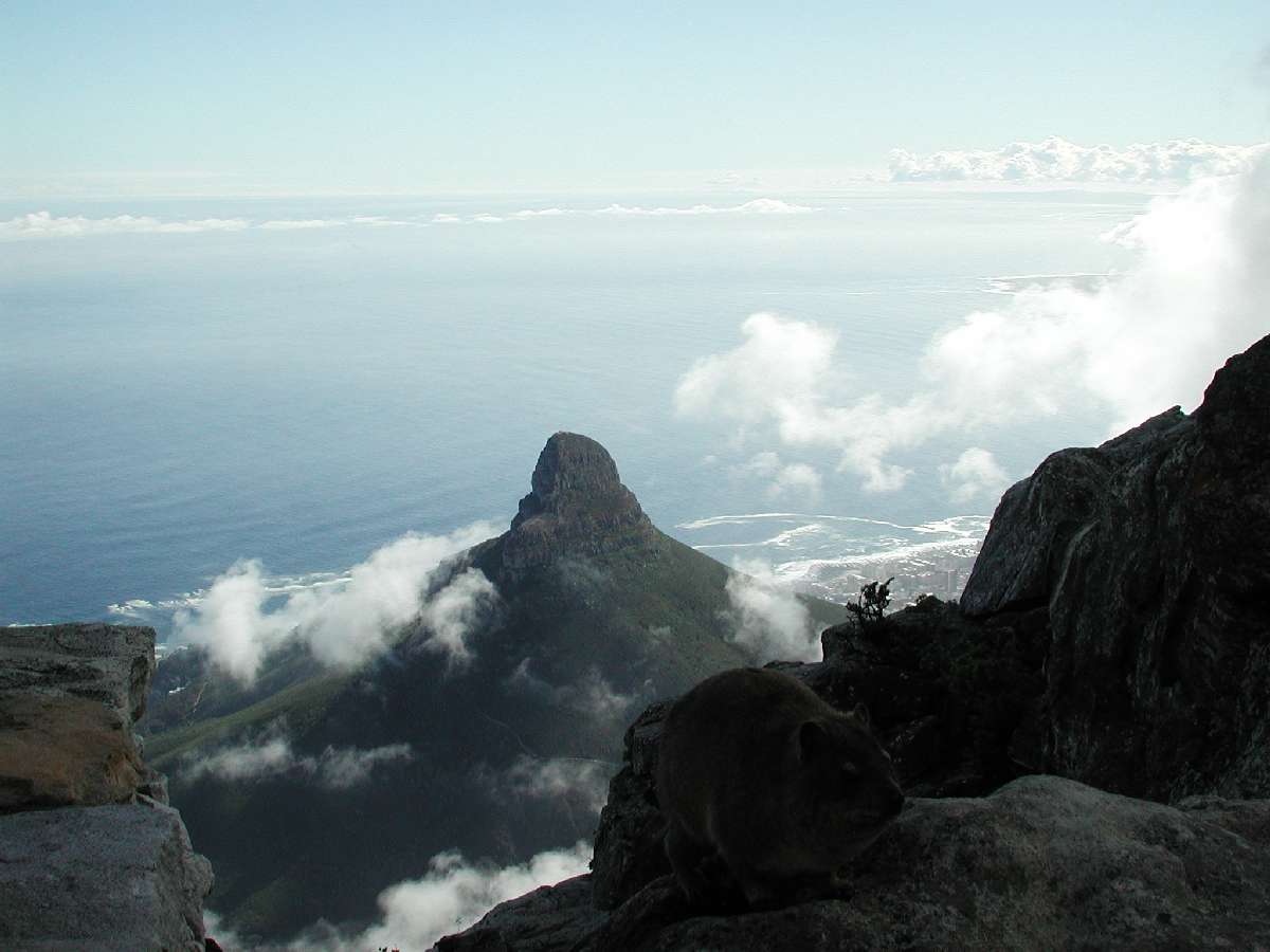 2) Panorama dalla table Mountain: 63 KB; clicca l'immagine per ingrandirla