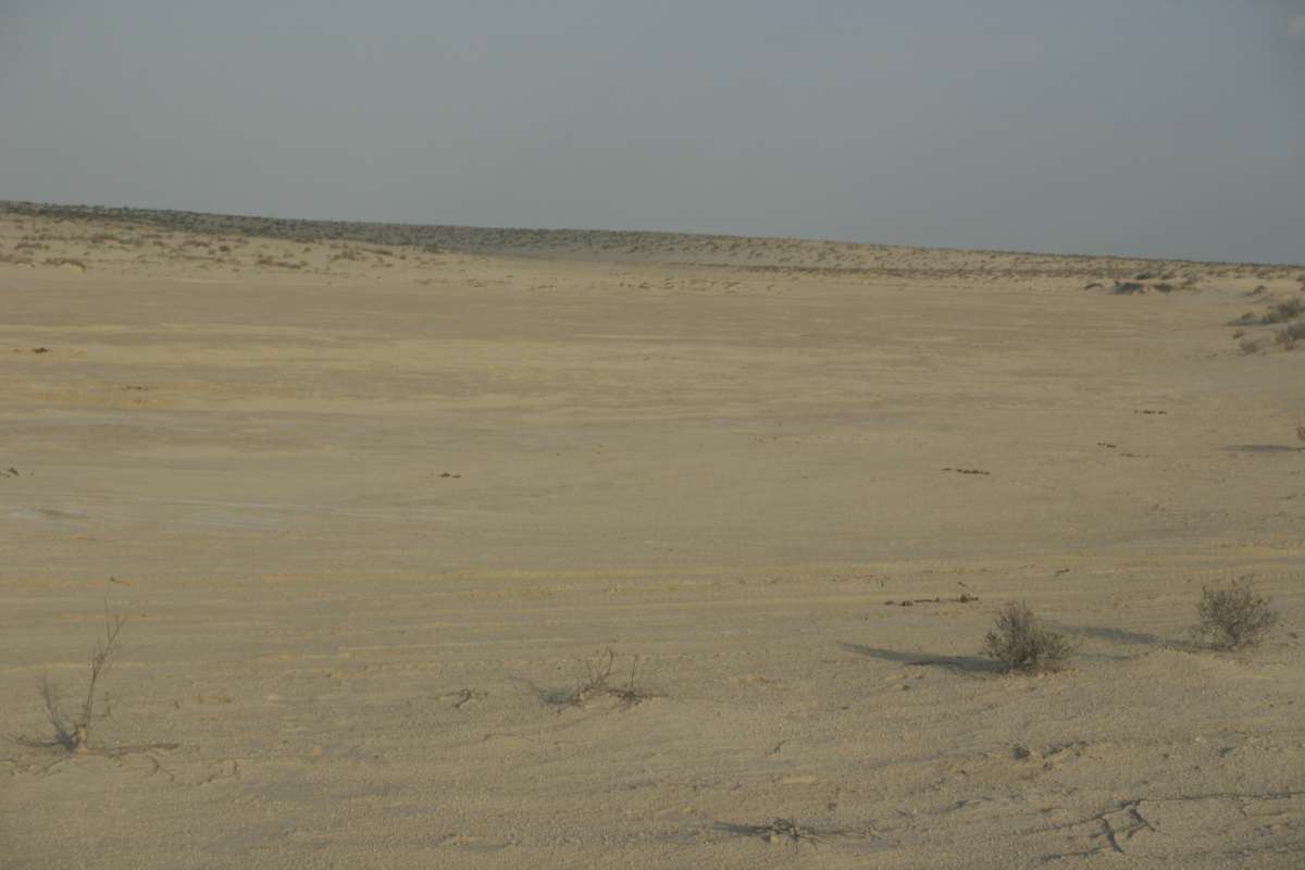 Nel deserto: 50 KB; clicca l'immagine per ingrandirla